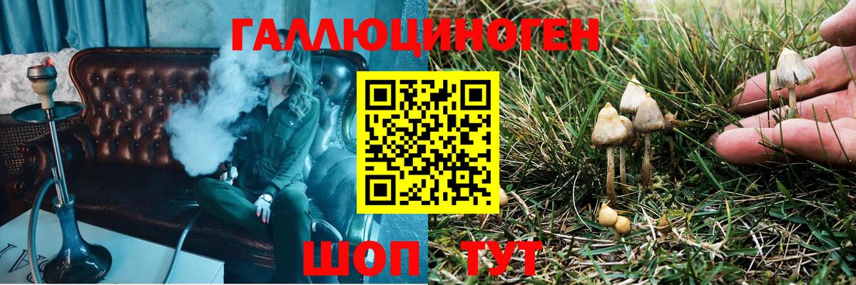 Псилоцибиновые грибы Psilocybe Богданович